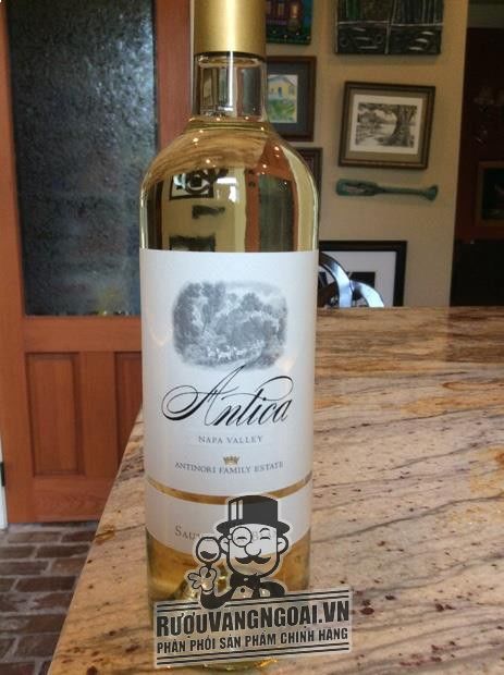 2015 Antica (Antinori) Sauvignon Blanc, USA, California, Napa ...