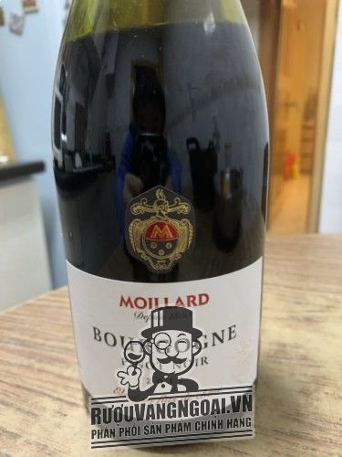 Moillard Bourgogne Pinot Noir 2015 