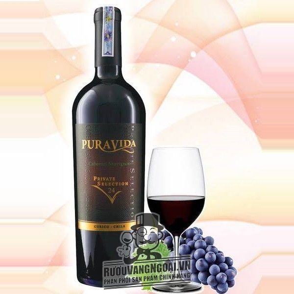 Rượu Vang Chile PURAVIDA PRIVATE SELECTION Cabernet Sauvignon 24