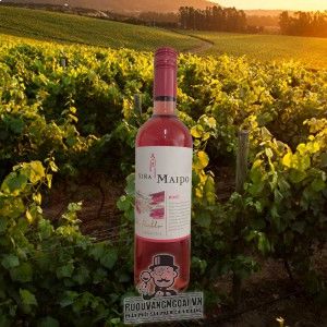 Rượu vang hồng Vina Maipo Mi Pueblo Rose bn1