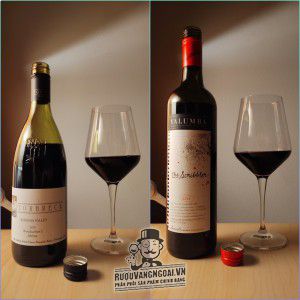 Rượu vang Torbreck Steading Blanc Barossa Valley bn3