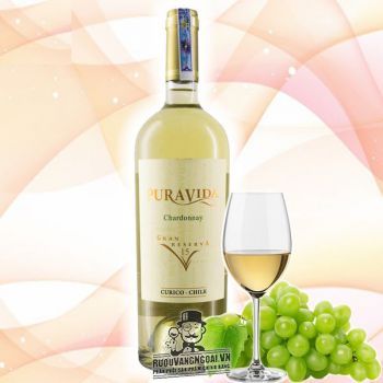 Rượu vang Chile Pura Vida Gran Reserva Chardonnay 15 bn2