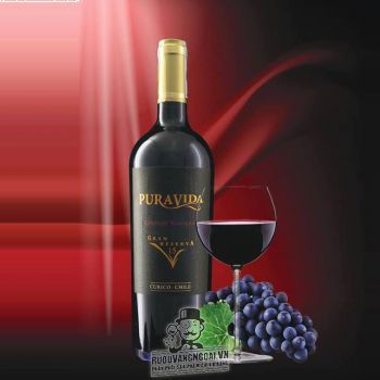 Rượu Vang Chile PURAVIDA PRIVATE SELECTION Cabernet Sauvignon 24 bn1