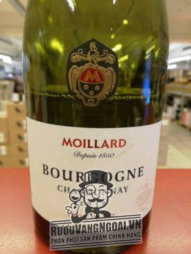 Moillard Bourgogne Chardonnay | Wine Info
