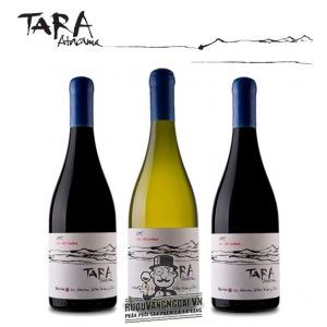 Vang Chile TARA Atacama Chardonnay bn1