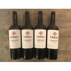 Rượu Vang Chile TABALI PEDREGOSO SYRAH bn2