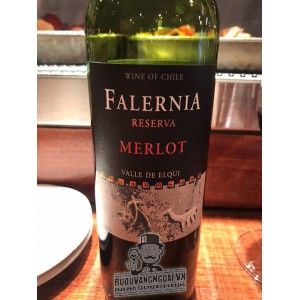 Rượu Vang Chile FALERNIA RESERVA MERLOT bn3