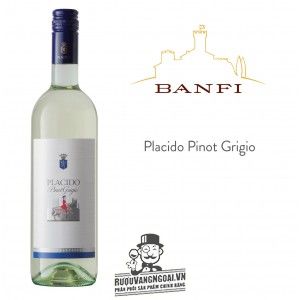 Vang Ý Placido Pinot Grigio Banfi Thượng hạng bn1