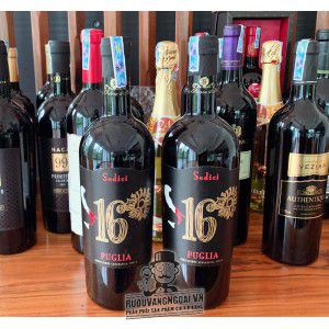 Rượu vang  Ý 16 SEDICI PUGLIA 16 độ uống ngon bn4
