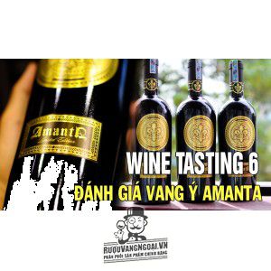 Rượu Vang Ý Amanta Limited Edition thượng hạng bn1