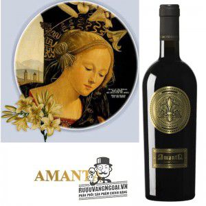Rượu Vang Ý Amanta Limited Edition thượng hạng bn2