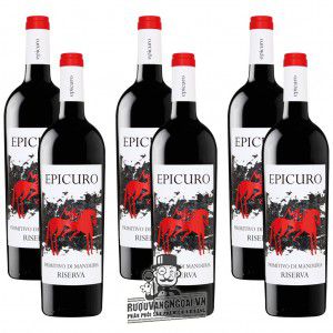 Rượu Vang Ý Epicuro Primitivo Di Manduria Riserva bn1