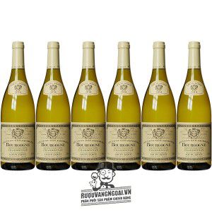 Vang Pháp Couvent des Jacobins Bourgogne Chardonnay uống ngon bn1
